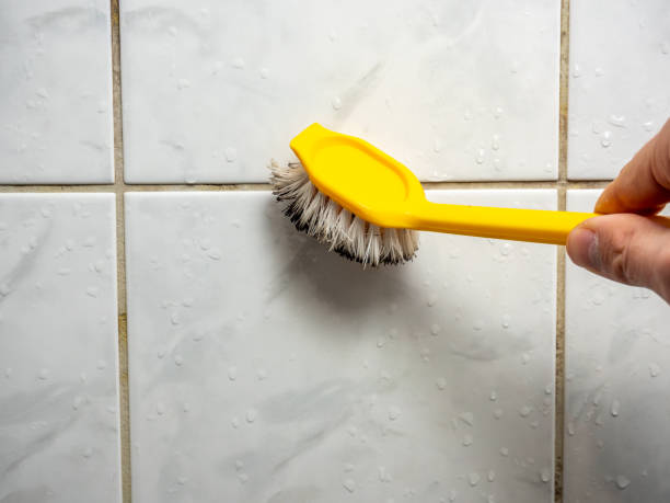 Best Commercial Mold Remediation in Horse Cave, KY
